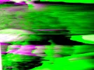 DSCF0032.webp