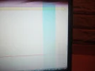 DSCF1342.webp