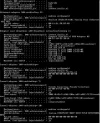 ipconfig.webp