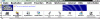 5 2009.gif