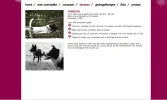 voorbeeld.webp