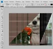 help 2.webp