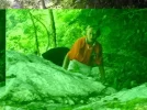 P8020179.webp