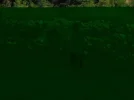 P8020182.webp