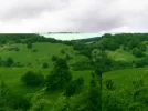 P8020218.webp