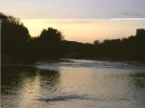 test03.webp