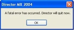 directorerror2.webp
