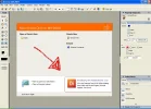 directorerror.webp