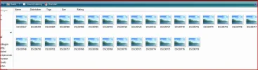 Knipsel.webp