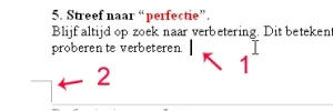 word probleem.webp