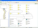 tree2.webp