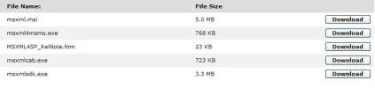 MSXML 4.0 Service Pack 2.webp