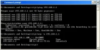 DHCPserver-Linksys-arp.webp