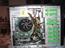 past dit.webp