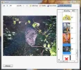 Knipsel6.webp