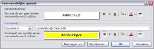 Voorwaardelijke Opmaak.webp