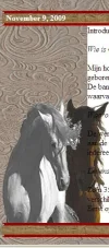 voorbeeld.webp