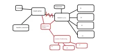 Plannetwerk.webp