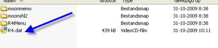 nds r4i menu.webp