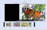 dp1firefox.webp