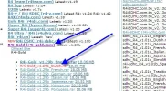 R4i Gold.webp