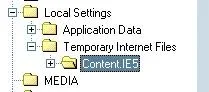root.webp
