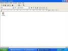 plaatje.webp