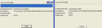 bittorrent fout 2.webp
