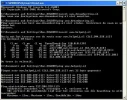 dreamhosting1.webp