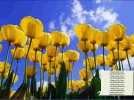 screenshot10.webp