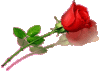 rose.gif