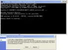 image1.webp