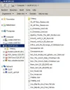 ds.webp