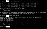 ping.webp
