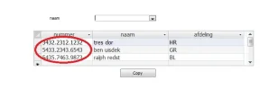 voorbeeld.webp