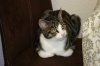 20091027 Gijs.jpg
