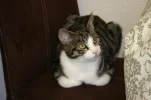 20091027 Gijs.webp