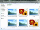 Knipsel.webp