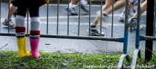 Banner2.webp