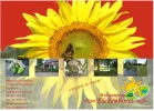 folder 1.webp