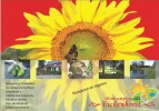 folder 2.webp