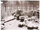 Witte rand rechts.webp