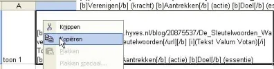 kopie blad slwoorden.webp