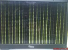 DSC01172.webp