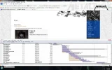 firebug1.webp