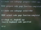 DOS diskette.webp