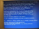 blauw3.webp