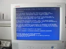 blauw 5.webp