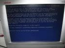 blauw6.webp