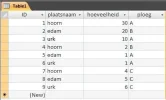 screenshot tabel.webp